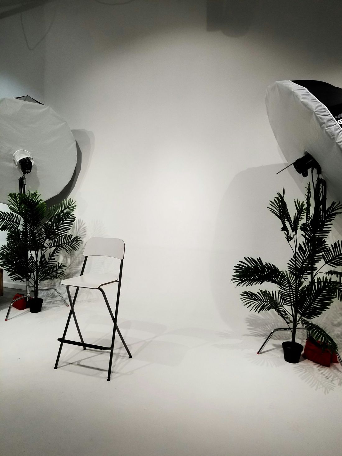 A white photo studio set with lights, palms and a folding chair